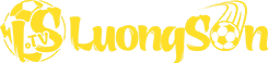 vision phiên bản cá tính